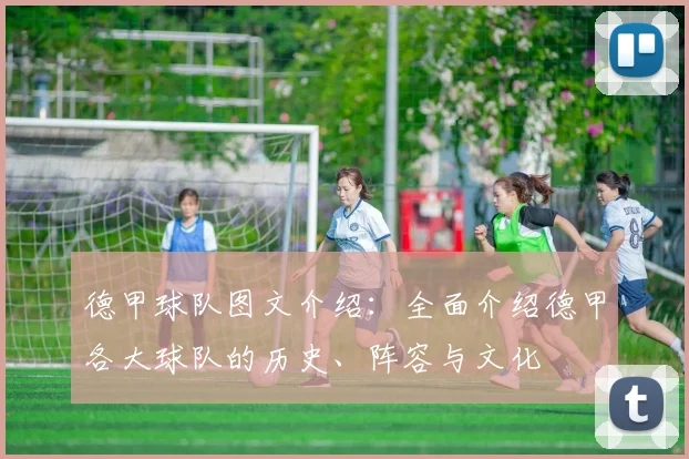 德甲球队图文介绍：全面介绍德甲各大球队的历史、阵容与文化