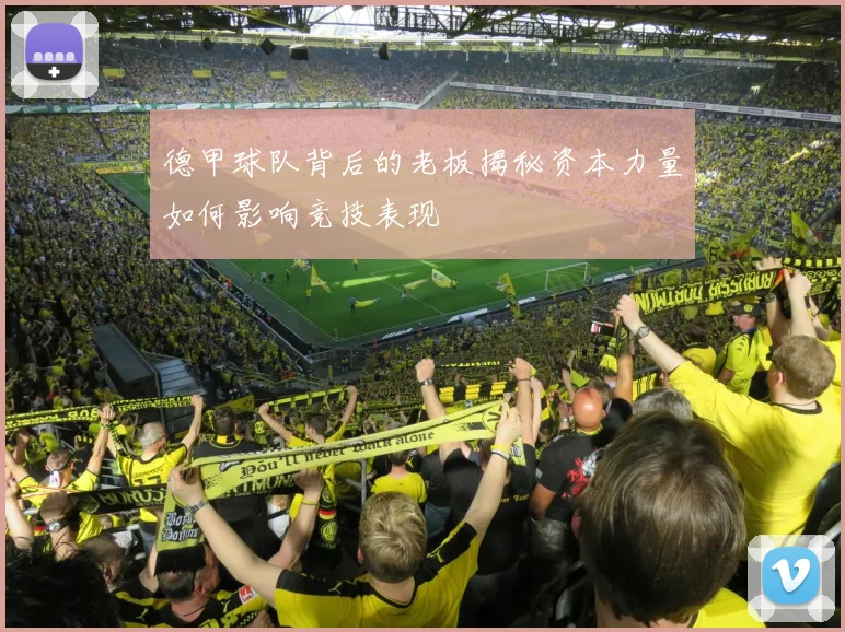 德甲球队背后的老板揭秘资本力量如何影响竞技表现