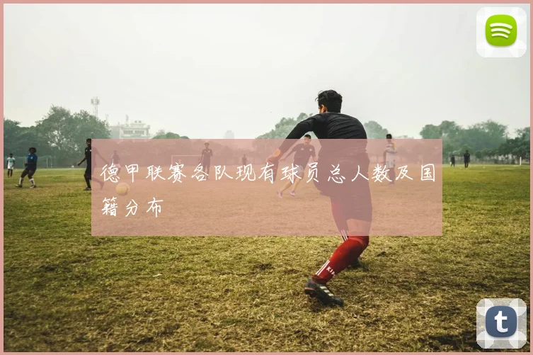 德甲联赛各队现有球员总人数及国籍分布